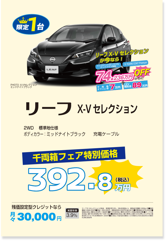 限定1台 リーフ X-Vセレクション 千両箱フェア特別価格税込392.8万円