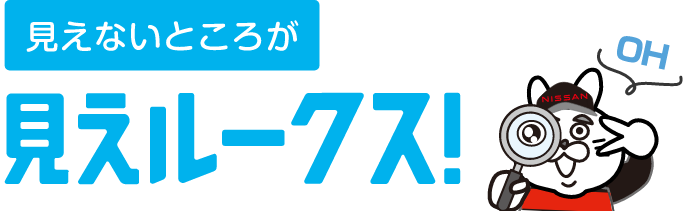 見えないところが見えルークス！
